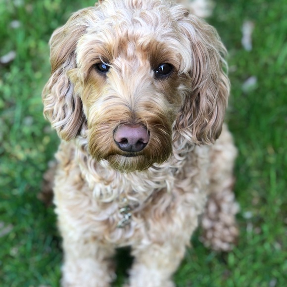 Jenna’s discards are your new delights! - Picture 2 of 3